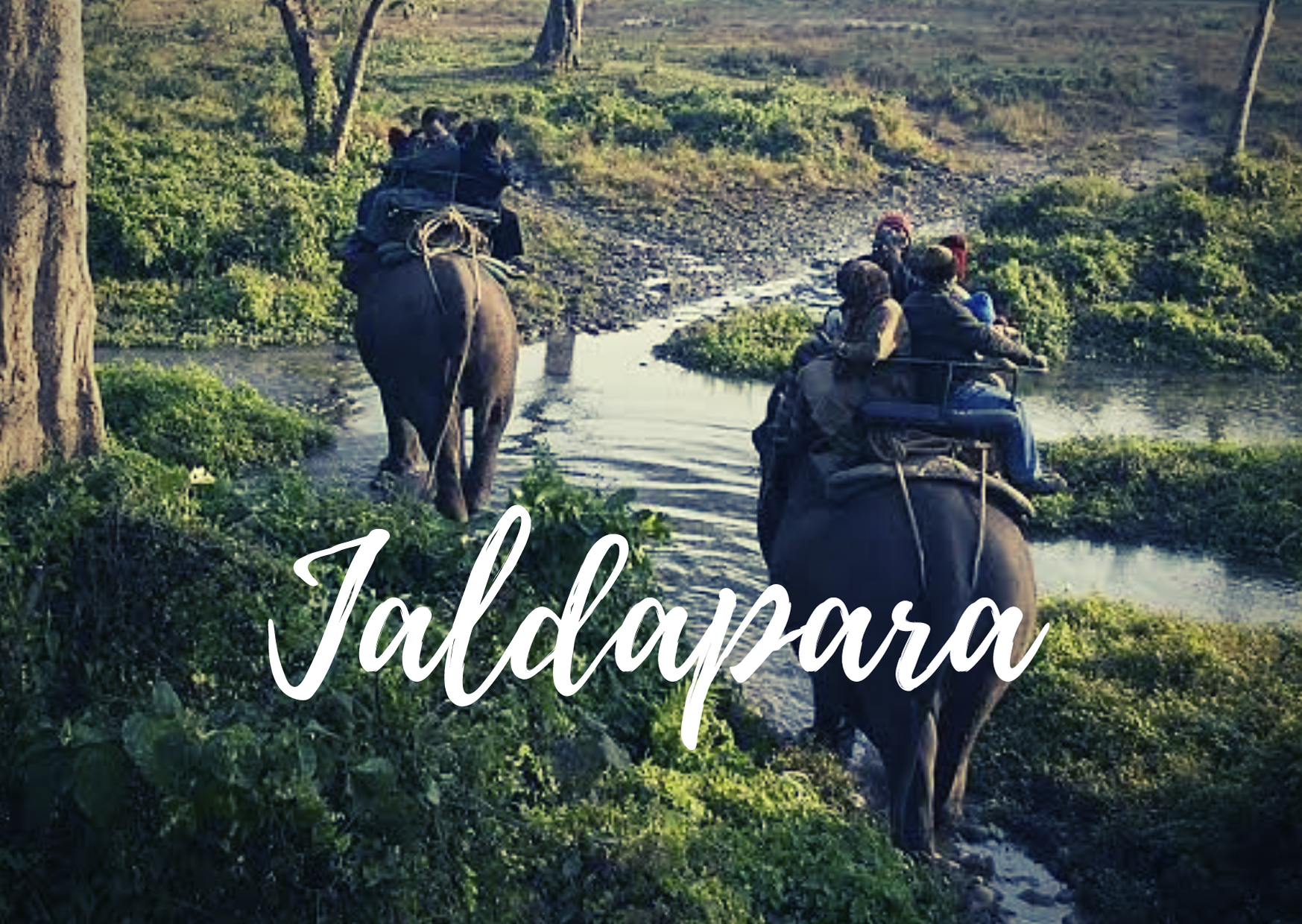 jaldapara national park tour package