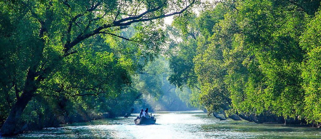 Sundarban tour