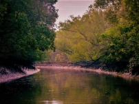 SUNDARBANS: Facts you never knew!