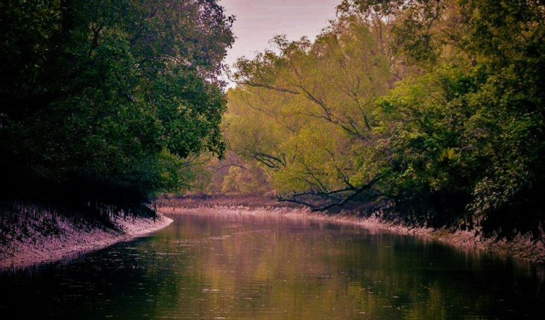 sundarban tour