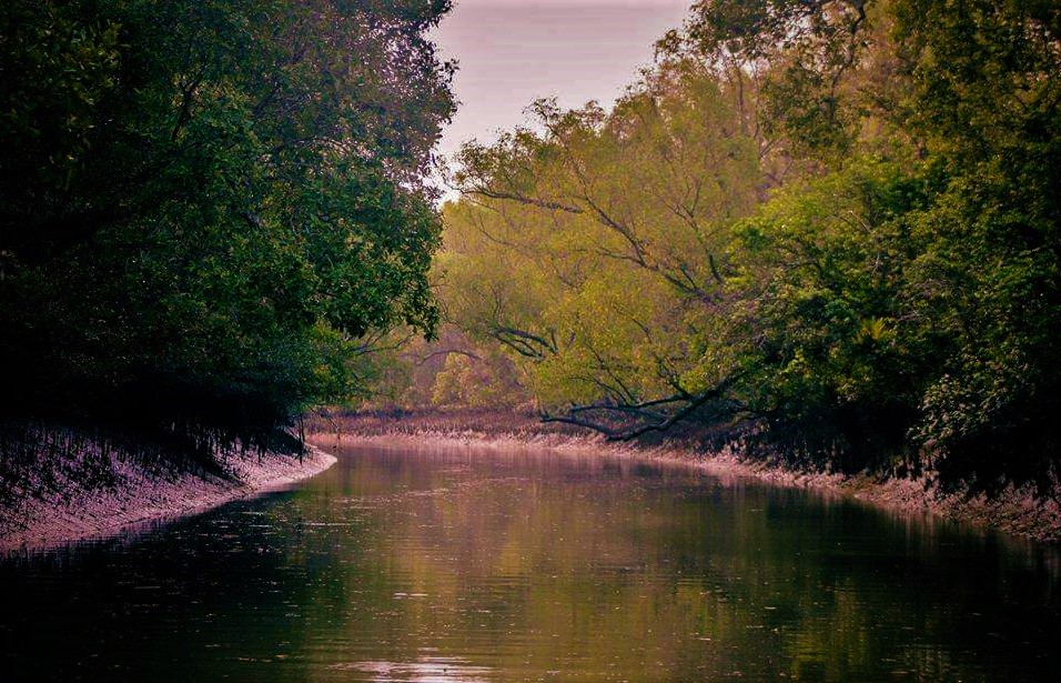 Sundarban Tourism