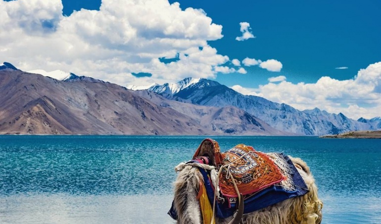 ladakh tour packages