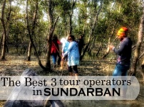 The Best 3 Sundarban tour operators & their Sundarban tour packages.