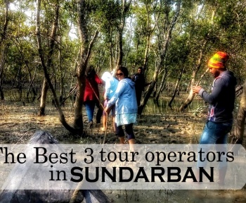 Sundarban tour operators