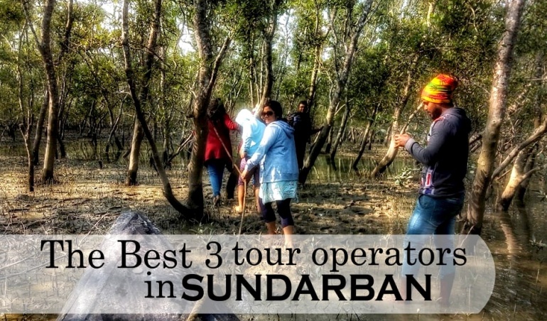 Sundarban tour operators