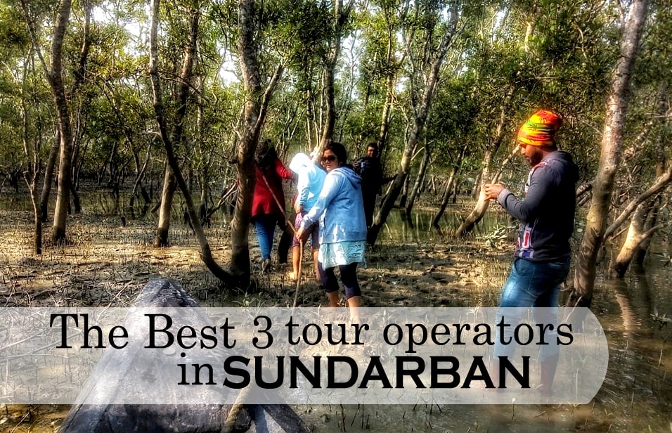 Sundarban tour operators