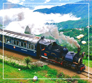 darjeeling kalimpong kurseong tour plan