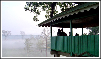 jatraprasad watchtower