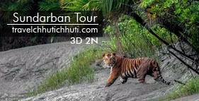 sundarban tour
