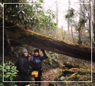 sandakphu trek distance