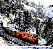 shimla tour package toy train