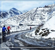 Silk route tour from NJP silk route tour from njp
