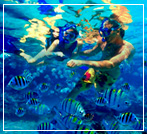 andaman tour package