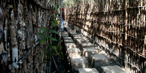 Sundarban Burirdabri Watch Tower