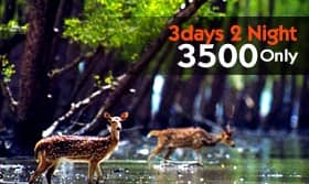 sundarban the magical mangrove