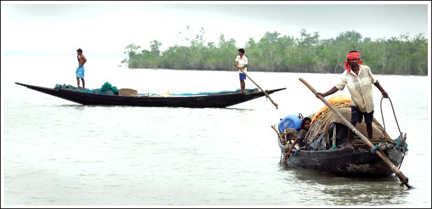 sundarban water world